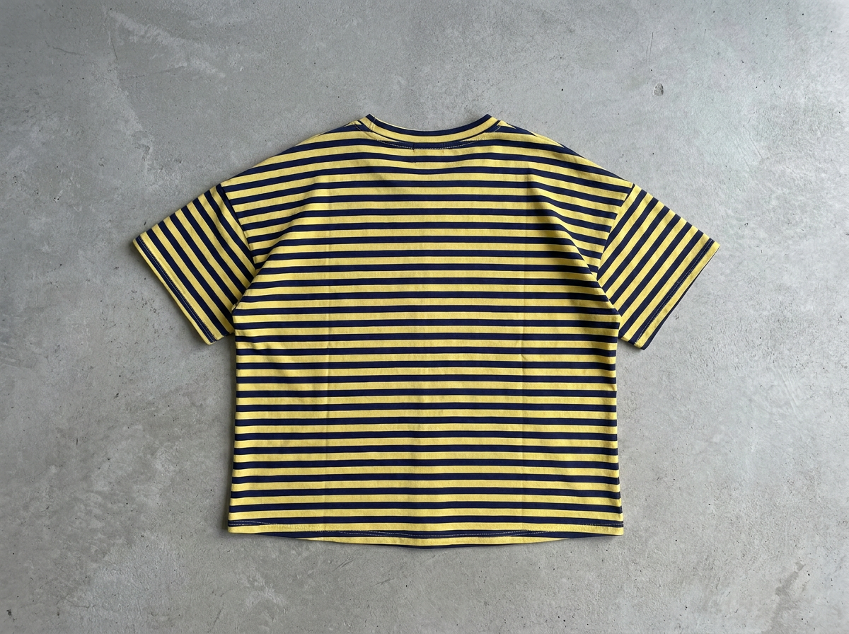 Wide Stripe Boxy Tee