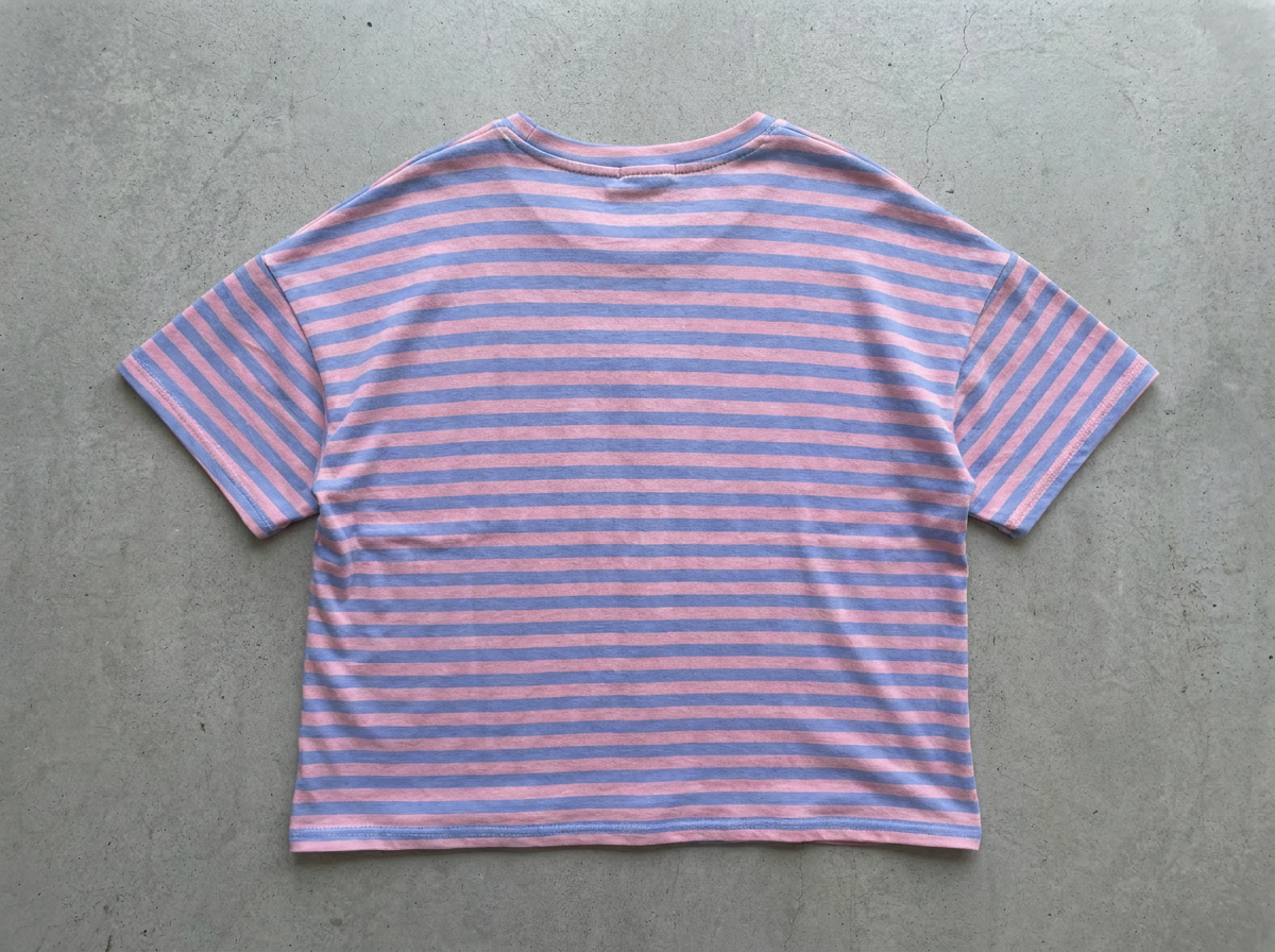 Wide Stripe Boxy Tee